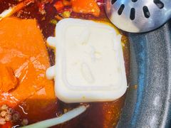 -生活如沸·顺德水牛奶火锅(大学路店)
