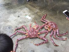 -蚝专家(北滘店)