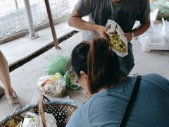 -马陆小张葡萄园农家乐