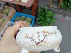-本溪路花鸟市场(江浦路1709弄小区店)