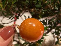 硕果鹅肝-西郊5号·Maggie 5