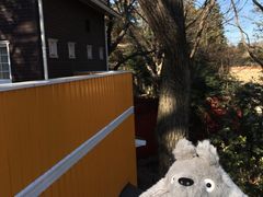 -三鹰之森吉卜力美术馆