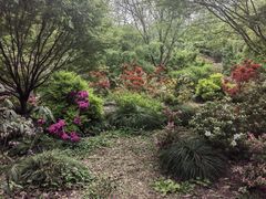 -上海滨江森林公园