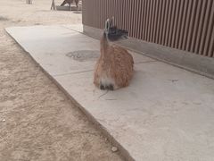-太原动物园