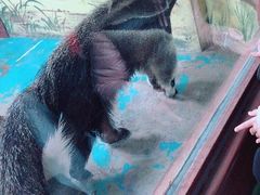 -济南野生动物世界
