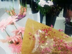 -Butchart布查德鲜花(花艺设计中心)