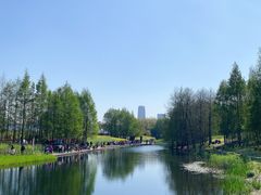 -上海山野camping·户外天幕烧烤·团建拓展营地