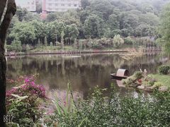 -重庆彩云湖湿地公园