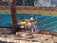 -上海玛雅海滩水公园