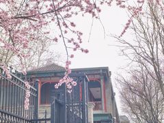 -北京师范大学附属中学