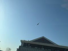 -鲨鱼皮汽车凹陷玻璃修复(静安店)