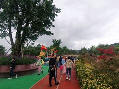 -铁山坪森林公园