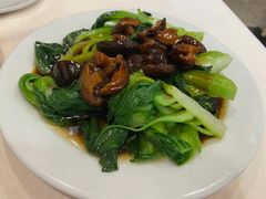 -海派铜锣湾(打浦路店)