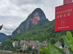 -上海烟草集团烟酒专卖店(浦东南路店)