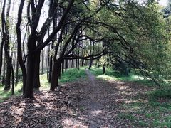 -共青国家森林公园-售票处