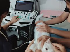 -拜鲁耶动物诊疗中心·宠家动物医院