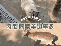 -太原动物园