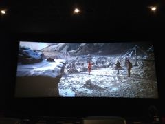 -AMG海上明珠影城(上海环球港RealDCinema店)