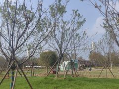 -武汉紫薇都市田园