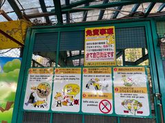 -宫城藏王狐狸村