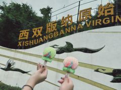 -西双版纳原始森林公园