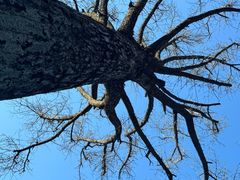 -南山风景名胜区