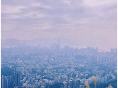 -狮子山郊野公园