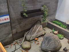 -严记小天府酸菜鱼(西四路店)