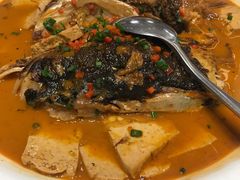 乾隆鱼头烧豆腐-乾隆美食·本帮菜(黄河路店)