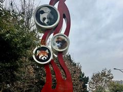 -成都动物园