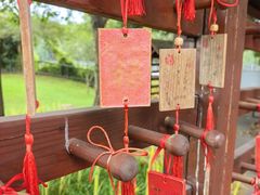 -观澜湖生态运动公社