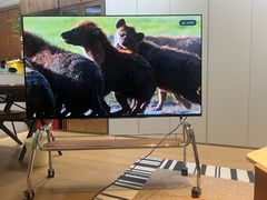 -Sony Store索尼(深圳深业上城店)