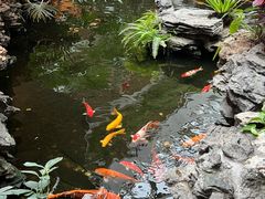 -白天鹅宾馆-宏图府餐厅