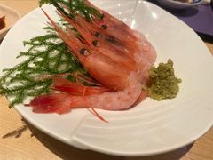 牡丹虾刺身-小山日本料理(太古汇店)