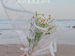 -燕儿岛山公园