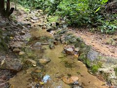 -火炉山森林公园