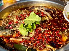 蛙塞招牌美蛙鱼头-味之绝美蛙鱼头火锅(龙潭店)