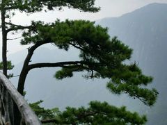 -大明山自然探索公园