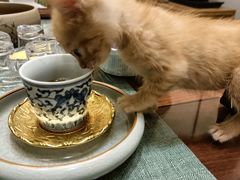 -龙源茶坊(白银路店)