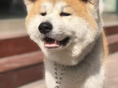 -YCHL Studios健身工作室(市二宫店)