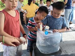 -春花秋色城市公园