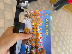 -金塔沙漠胡杨林景区