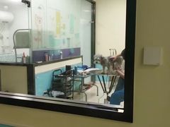 -天宠宠物医院24小时·急重症诊疗中心·全科·腔镜特色(和平分院)