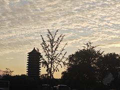 -北京大学东门(地铁站)