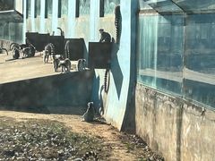 -秦皇岛野生动物园