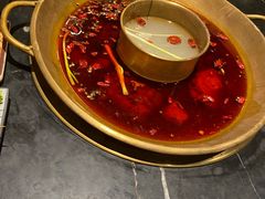 -杨家火锅(国美店)
