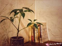 -MAISON门前杂货店