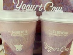 -一只酸奶牛(八一路店)