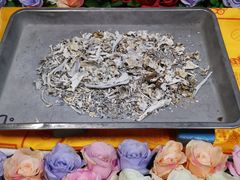 -彩虹桥宠物火化殡葬善终服务(金乐大厦店)
