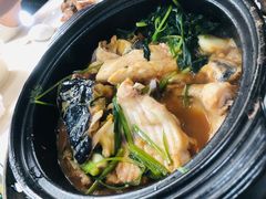 -九道菜有鸡鱼头(石鼓路店)